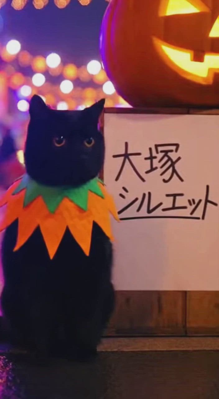 セラピストさんはいつでも募集中です🎃