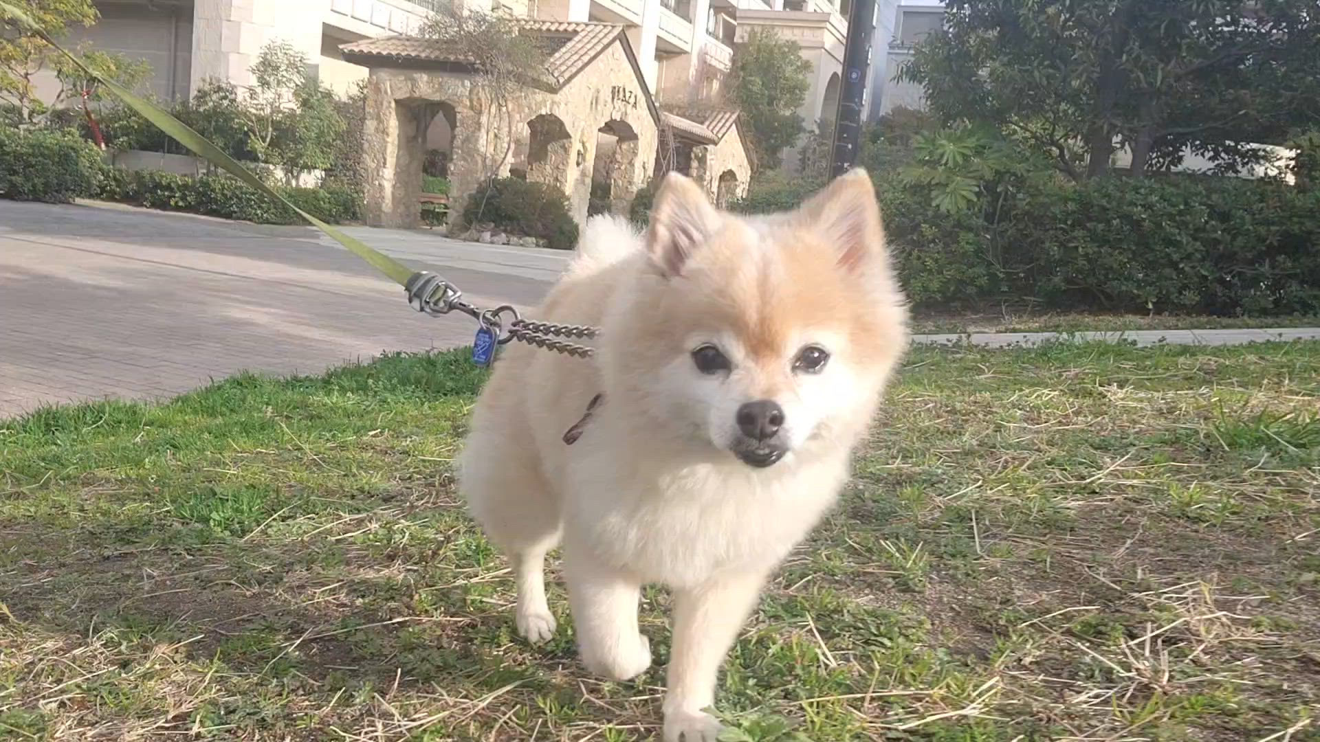本当に！？
