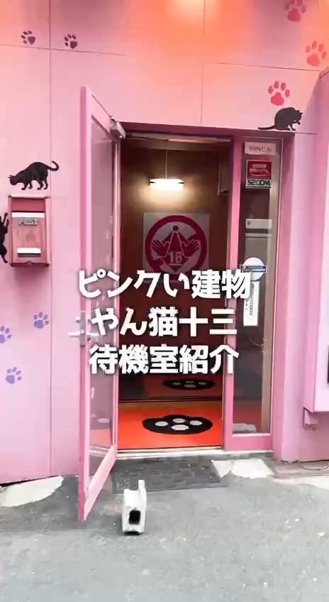 お店動画