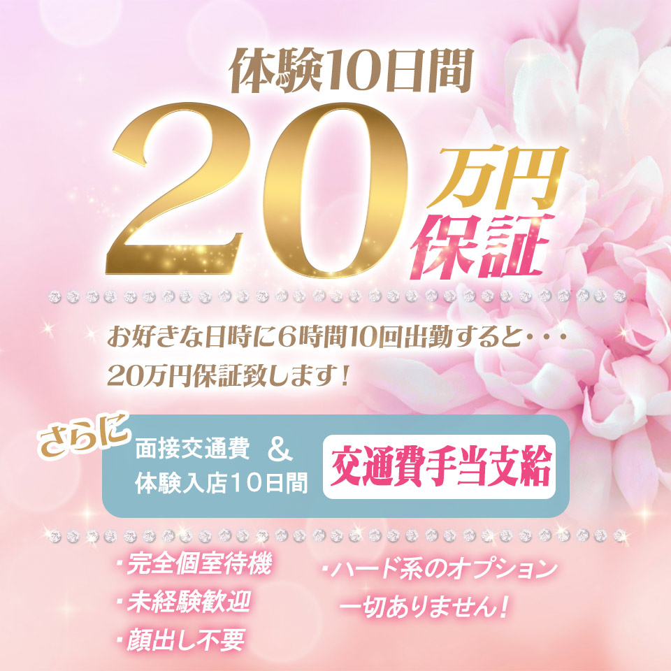 援護会グループ 素人人妻専門店 豊橋人妻援護会