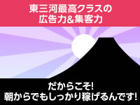 求人・エロエロ星人 豊橋店