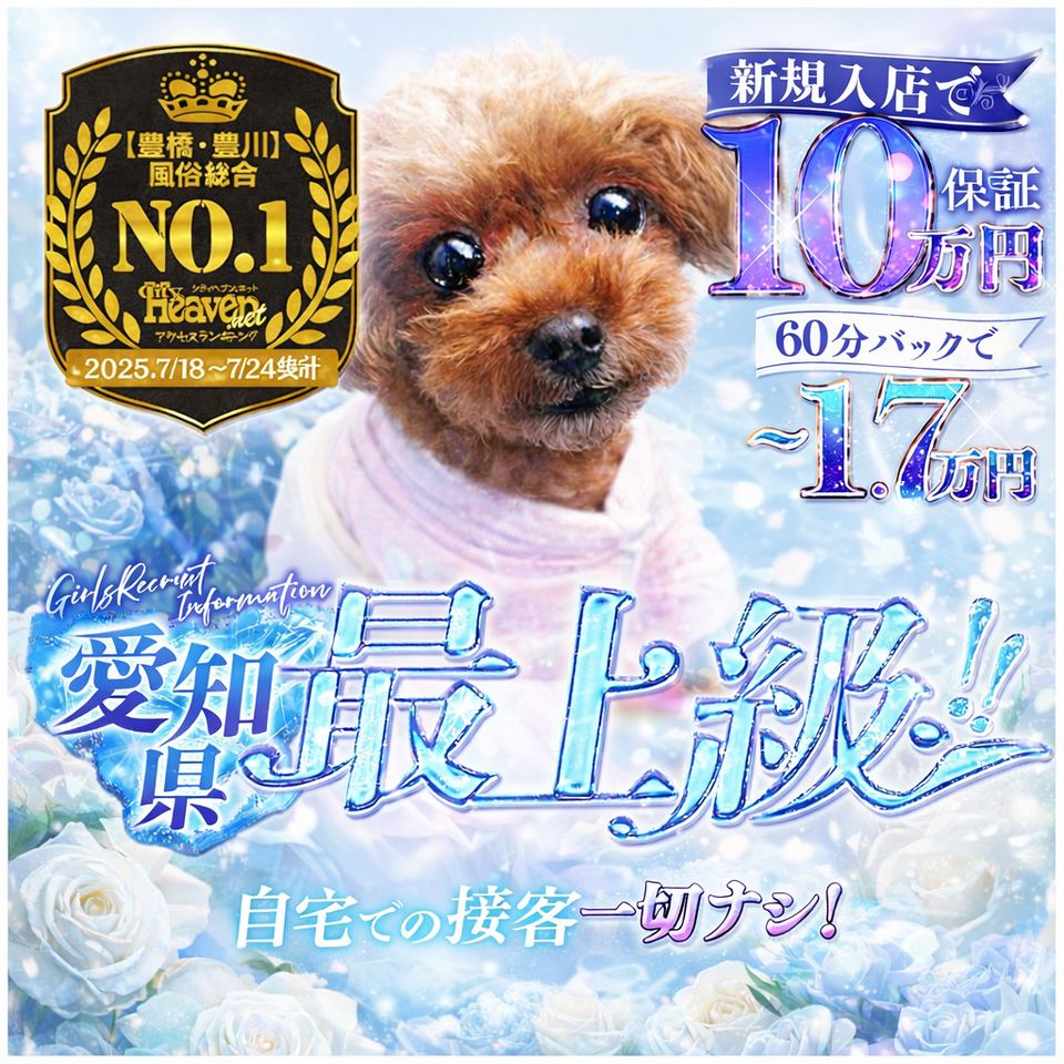 エロエロ星人 豊橋店