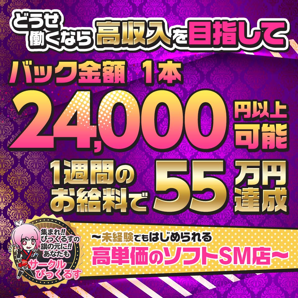 秋葉原過激☆コスプレクラブ　ぴっくるす2