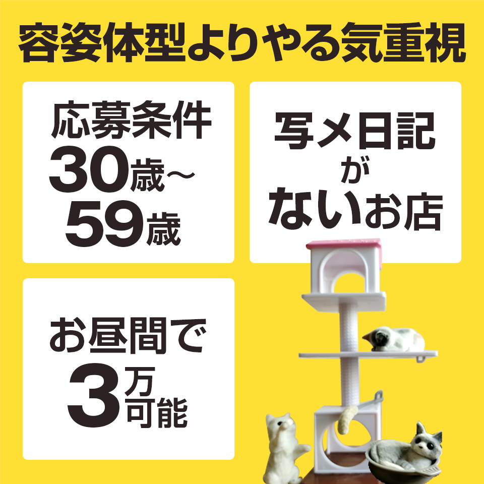 神戸 風俗求人・セレブな奥様