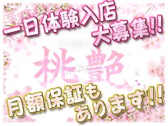 担当者