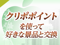 ファッションヘルス・ふぞろいの人妻たち