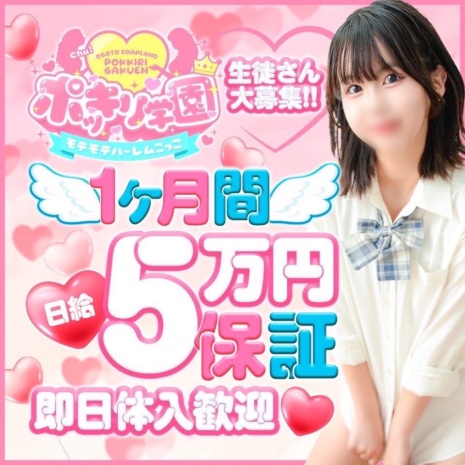 ポッキリ学園 ～モテモテハーレムごっこ～