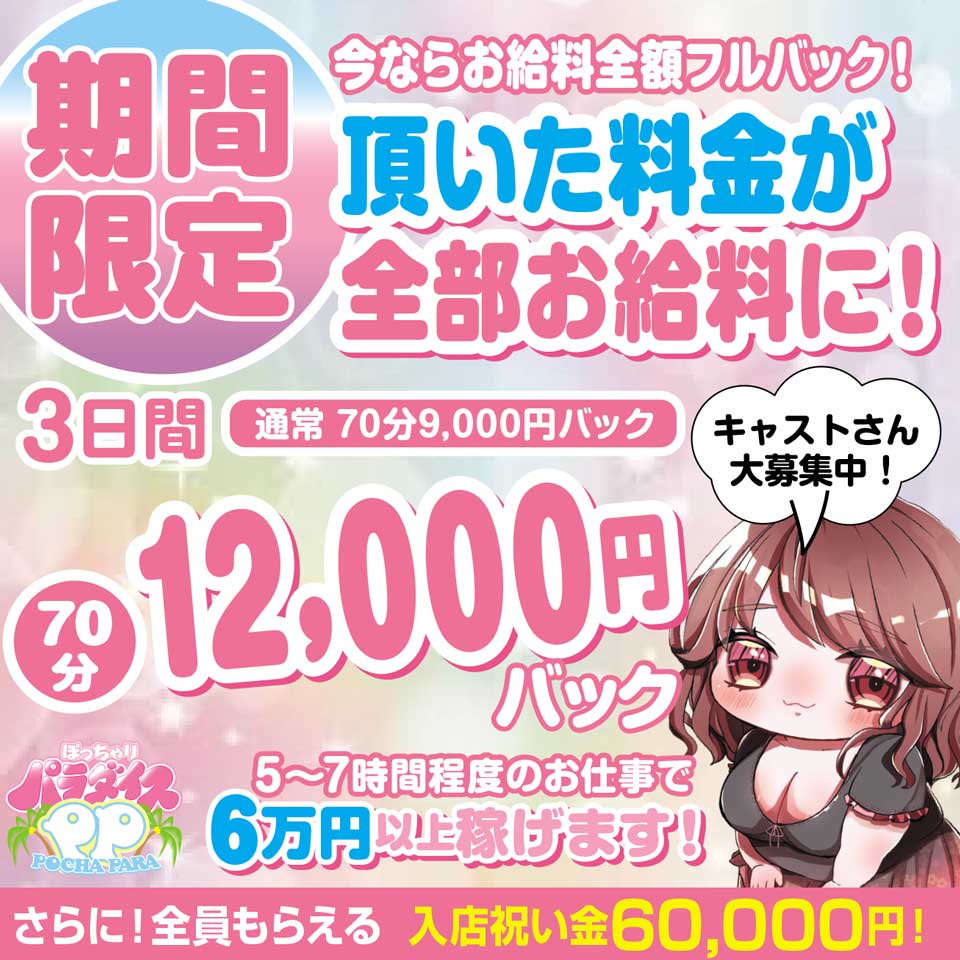 ぽっちゃりパラダイス - 岐阜市内のデリヘル求人情報