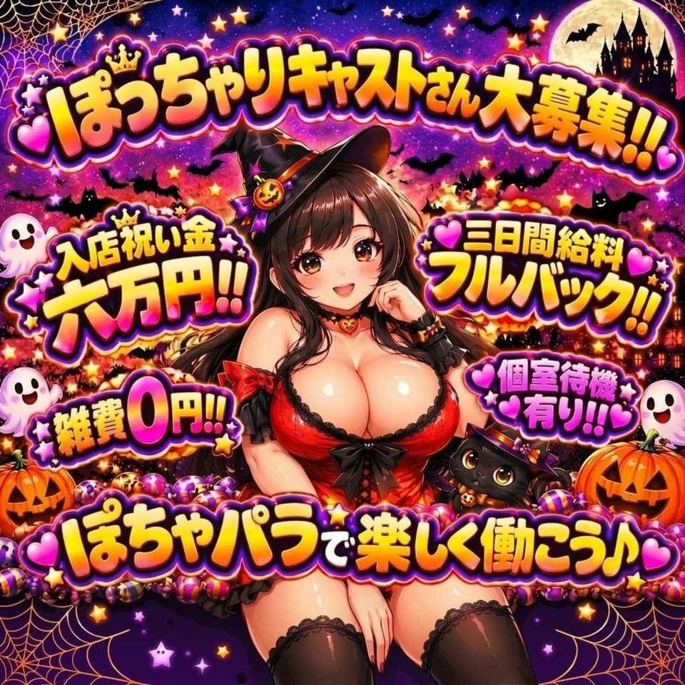 ぽっちゃりパラダイス - 岐阜市内のデリヘル求人情報