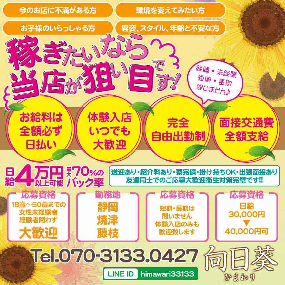 向日葵(ひまわり)