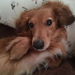 ミセスキラー・ロジャー君♪