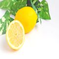 店長🍋