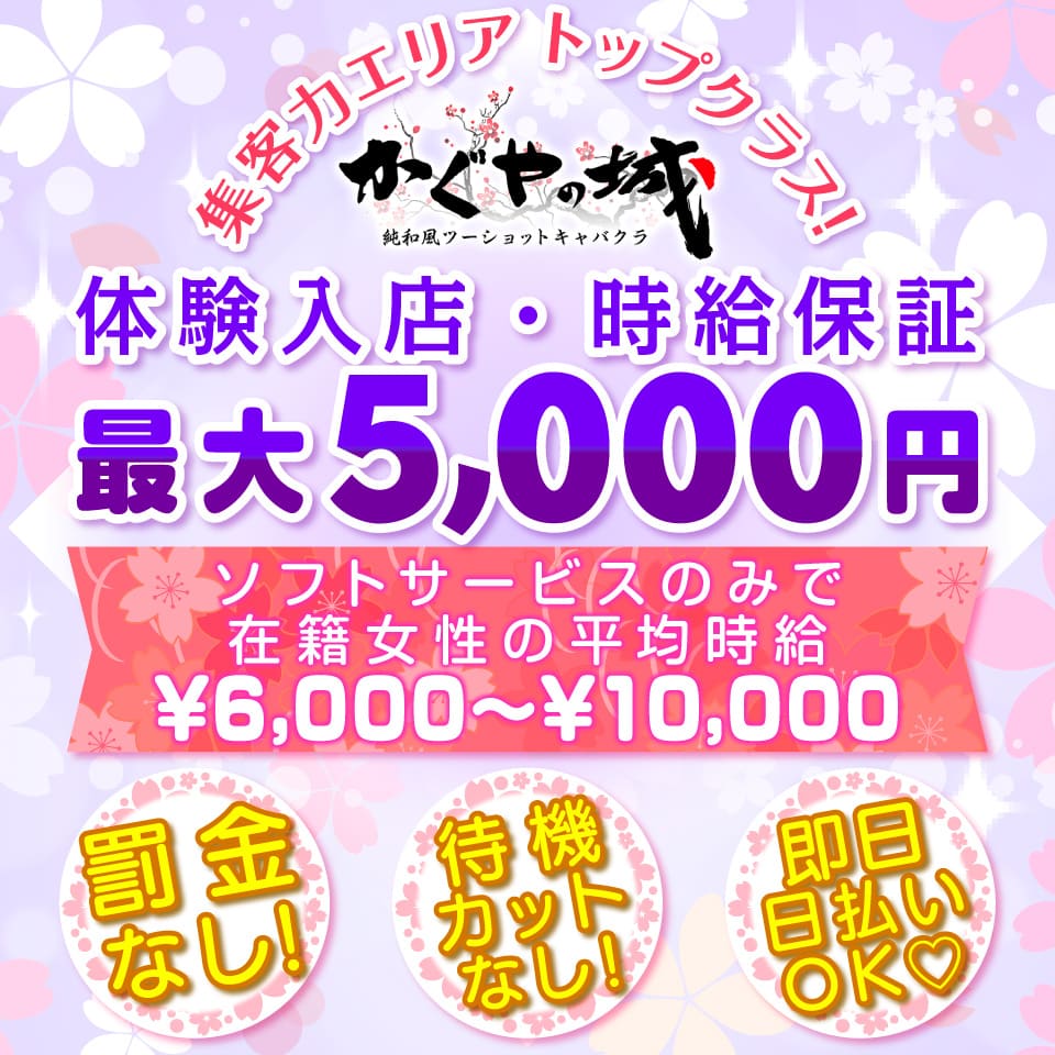 かぐやの城