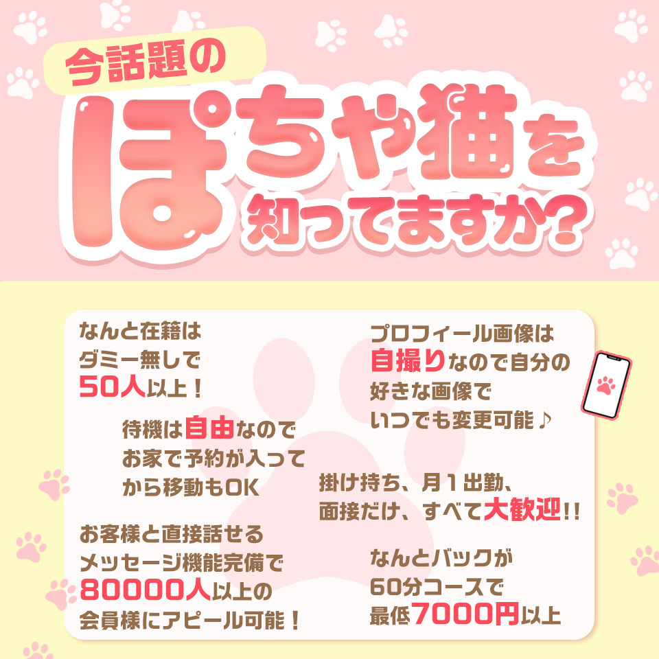 ぽちゃ猫三河店 - 安城のデリヘル求人情報