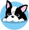 ブルームライブ神戸三宮店  採用担当みなみ🐶