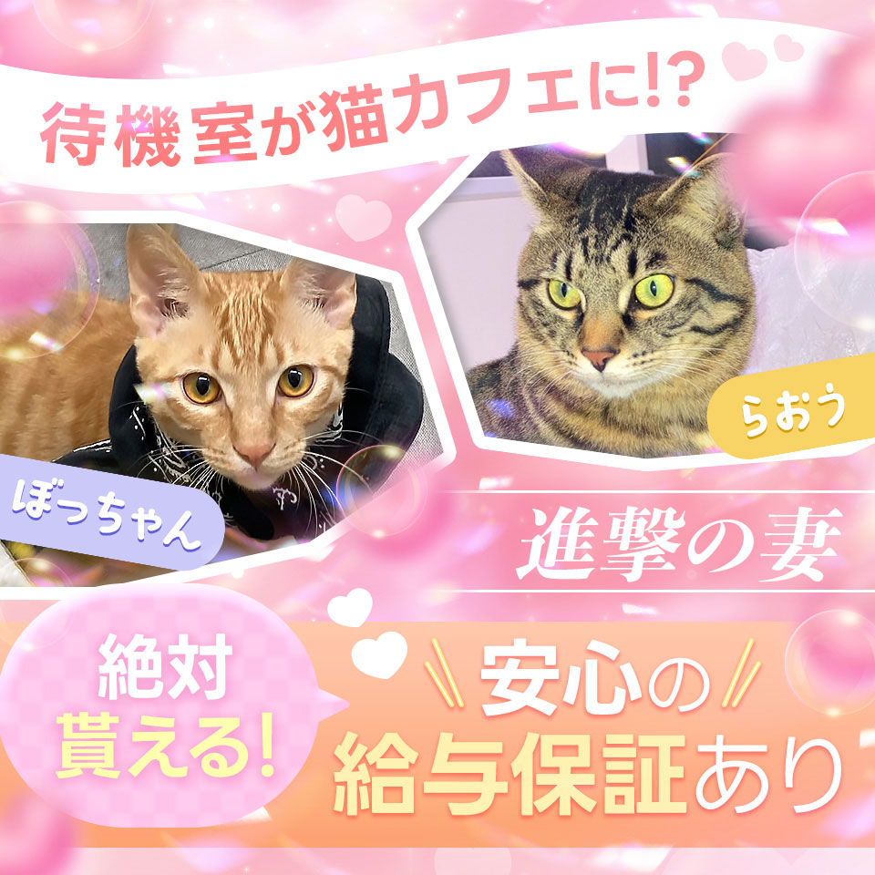 進撃の妻 厚木店