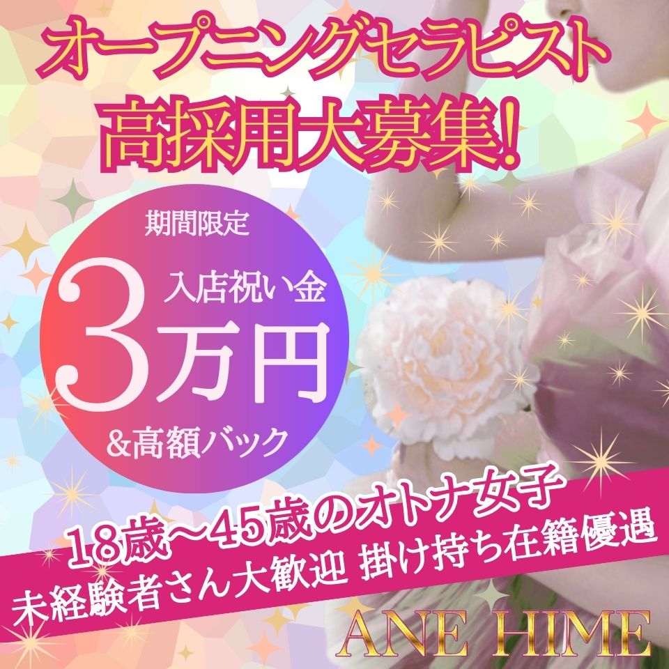 ANEHIME～アネヒメ～