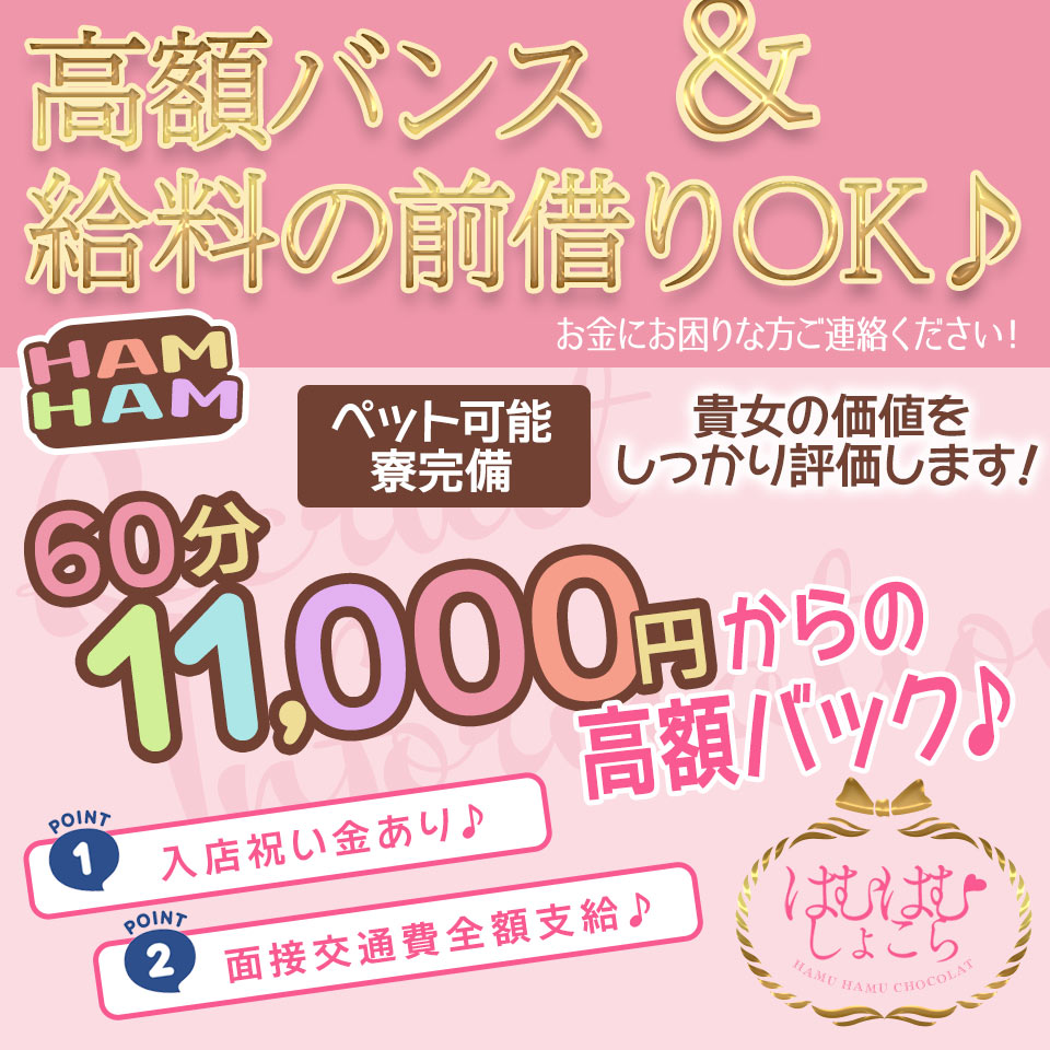 はむはむしょこら - 豊橋・豊川のデリヘル求人情報