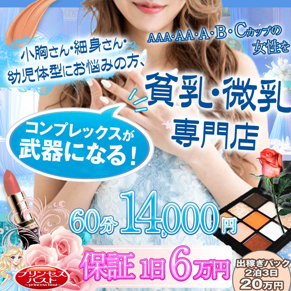 貧乳・微乳専門店プリンセスバスト