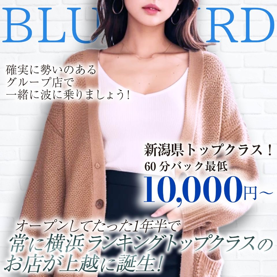 ブルーバード上越店 - 上越のデリヘル求人情報