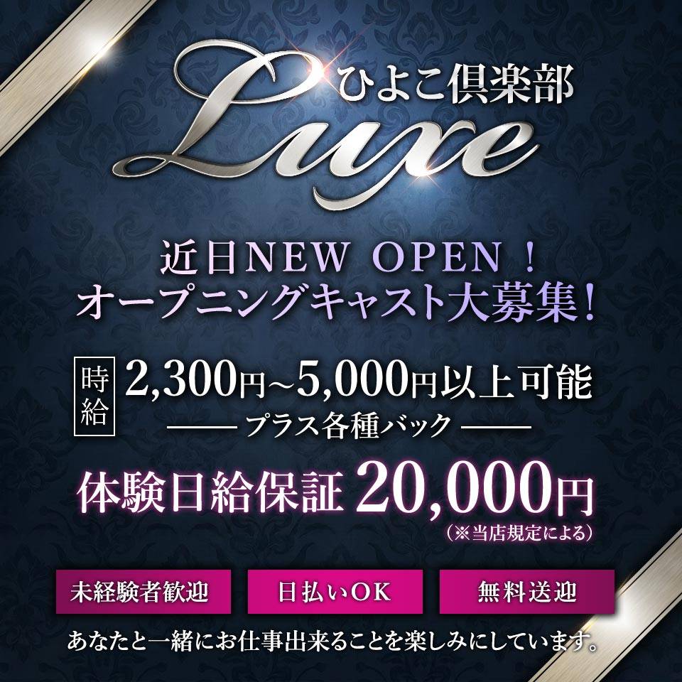 ひよこ倶楽部 Luxe - 宇都宮のピンクサロン求人情報