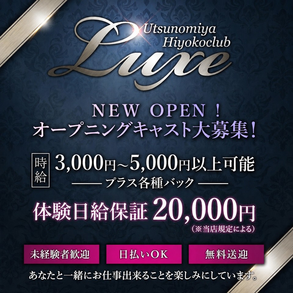 ひよこ倶楽部 Luxe - 宇都宮のピンクサロン求人情報