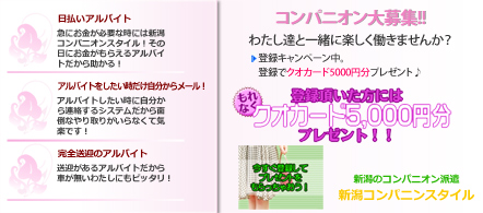 短期ok 新潟の風俗求人 いちごなび