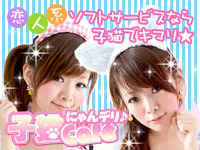 求人・子猫カフェ