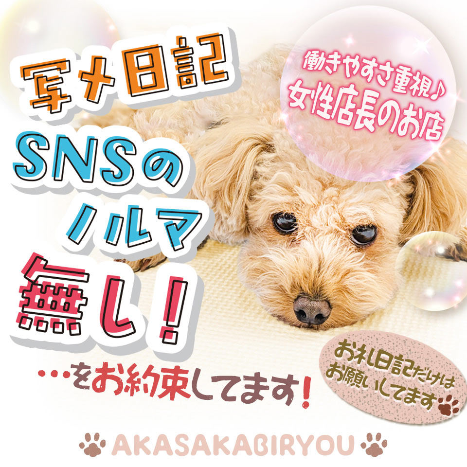 赤坂美療 - 上野のM性感求人情報