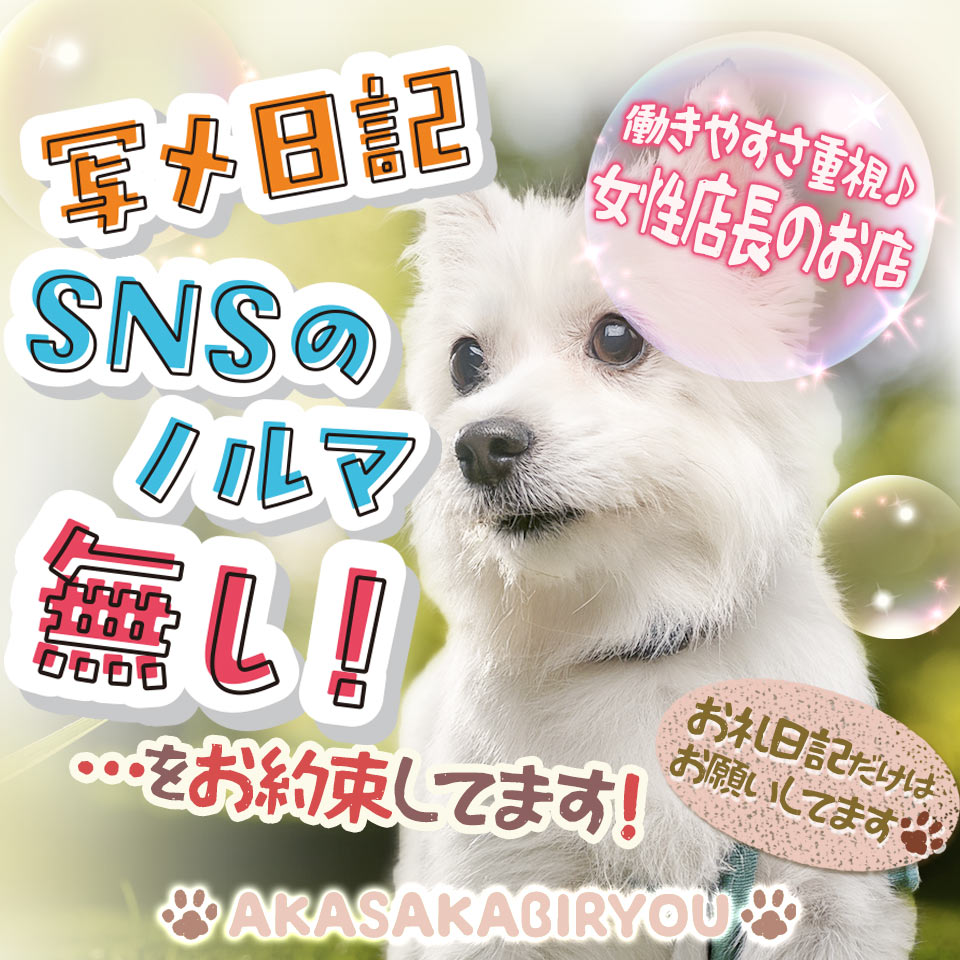 赤坂美療 - 上野のM性感求人情報