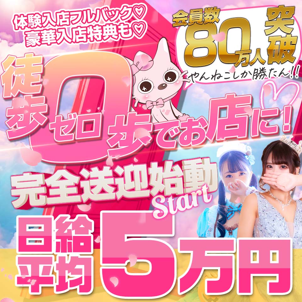 やんちゃな子猫 京橋店