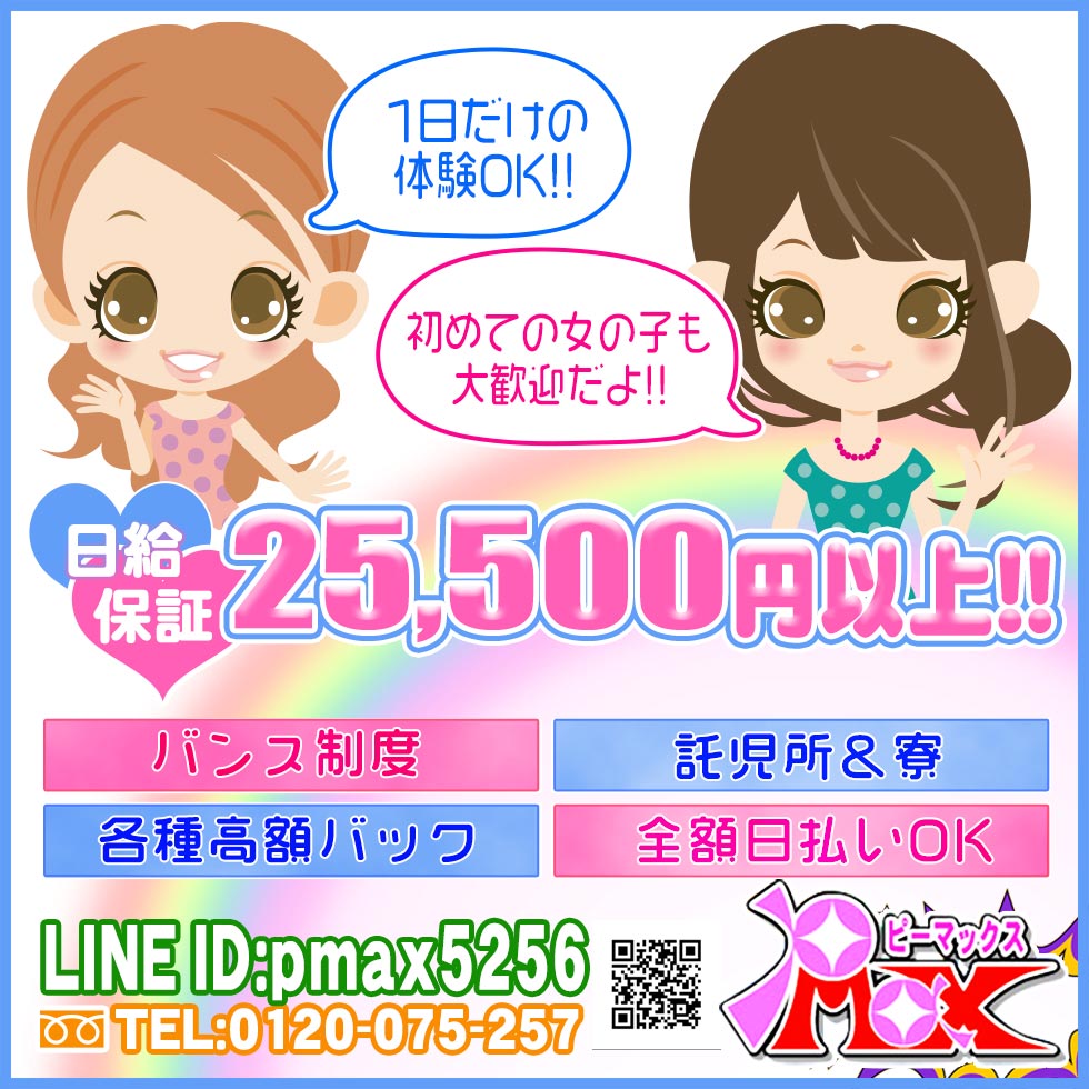 P-MAX(ピーマックス)