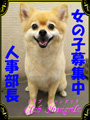 ワンコ部長