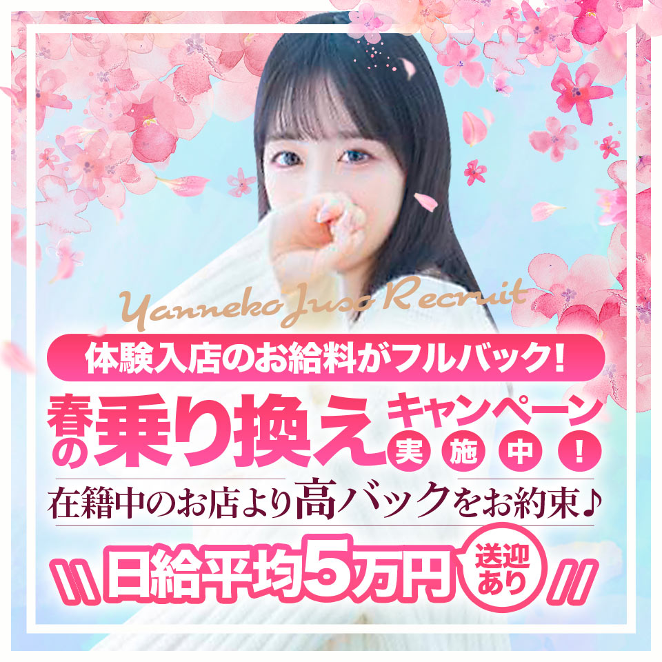 やんちゃな子猫 十三