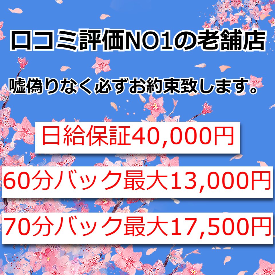 Sakura（サクラ）