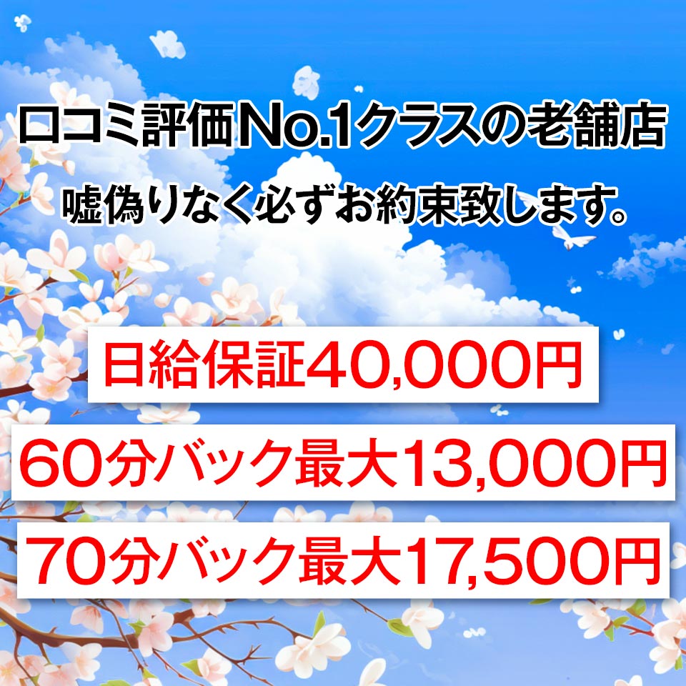 Sakura（サクラ）