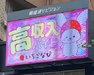 銀座通りビジョン