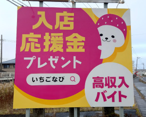 宮城県大崎市古川稲葉鴻ノ巣91