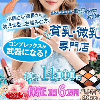 貧乳・微乳専門店プリンセスバスト