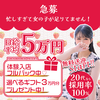 やんちゃな子猫 十三