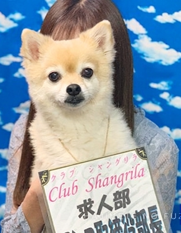 ひより