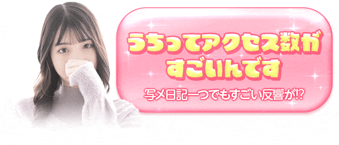 アクセス数画像